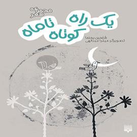 یک راه کوتاه تا ماه 