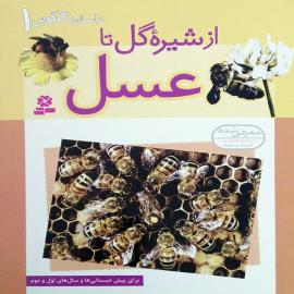 از دانه تا گل