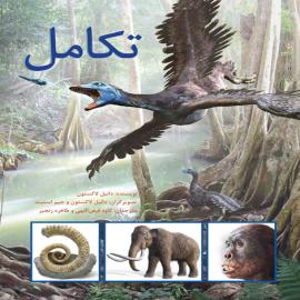 تکامل