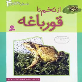 از تخم تا قورباغه