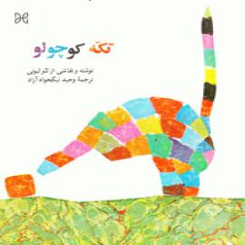 تکه کوچولو