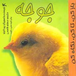 جوجه