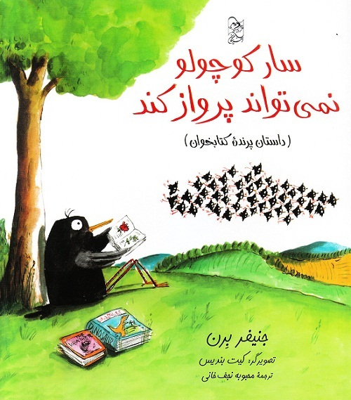 کتاب کودک و نوجوان: سار کوچولو نمی‌تواند پرواز کند 